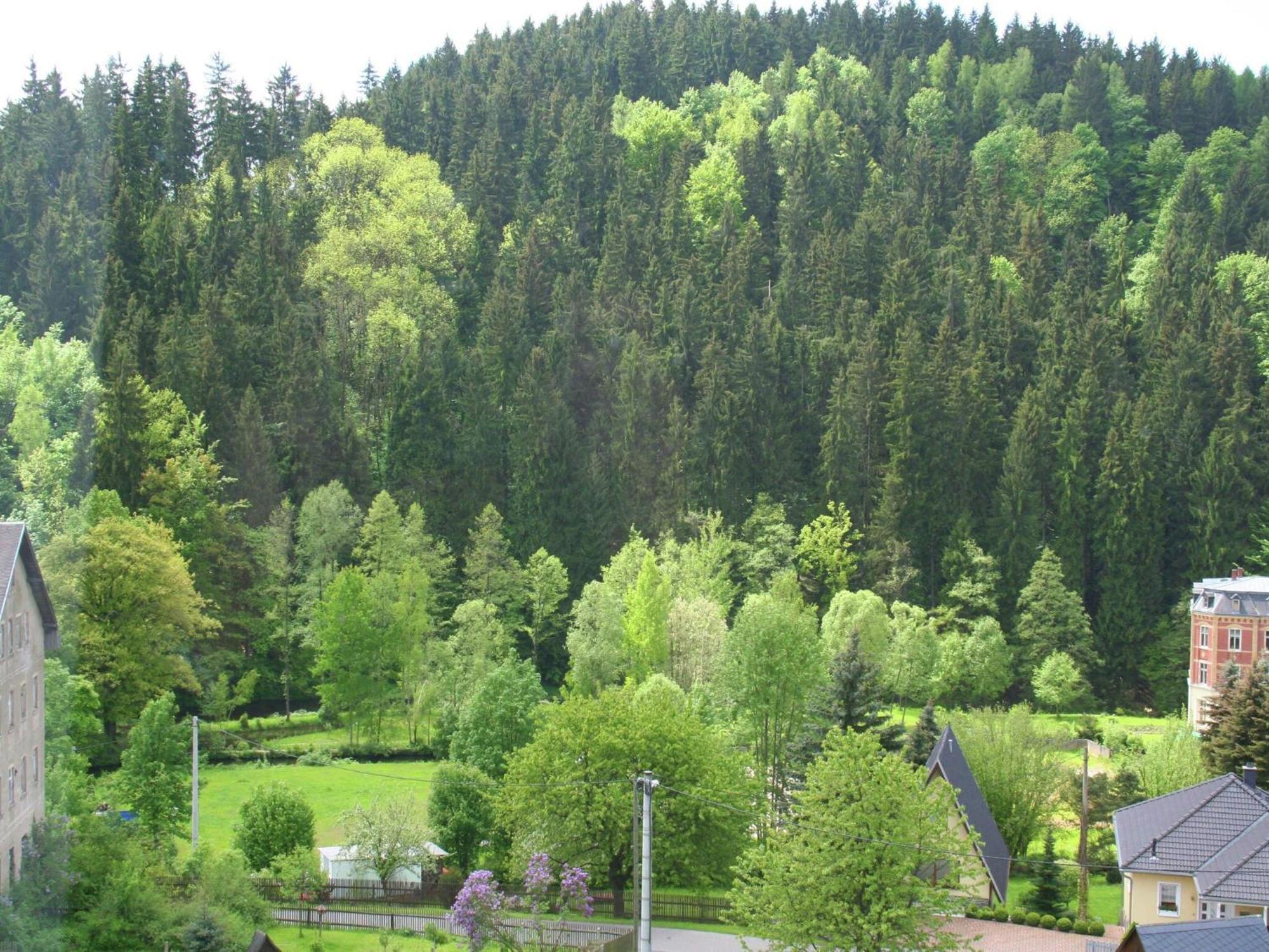 Alluring Villa In Grunhainichen Borstendorf With Garden Leubsdorf Kültér fotó