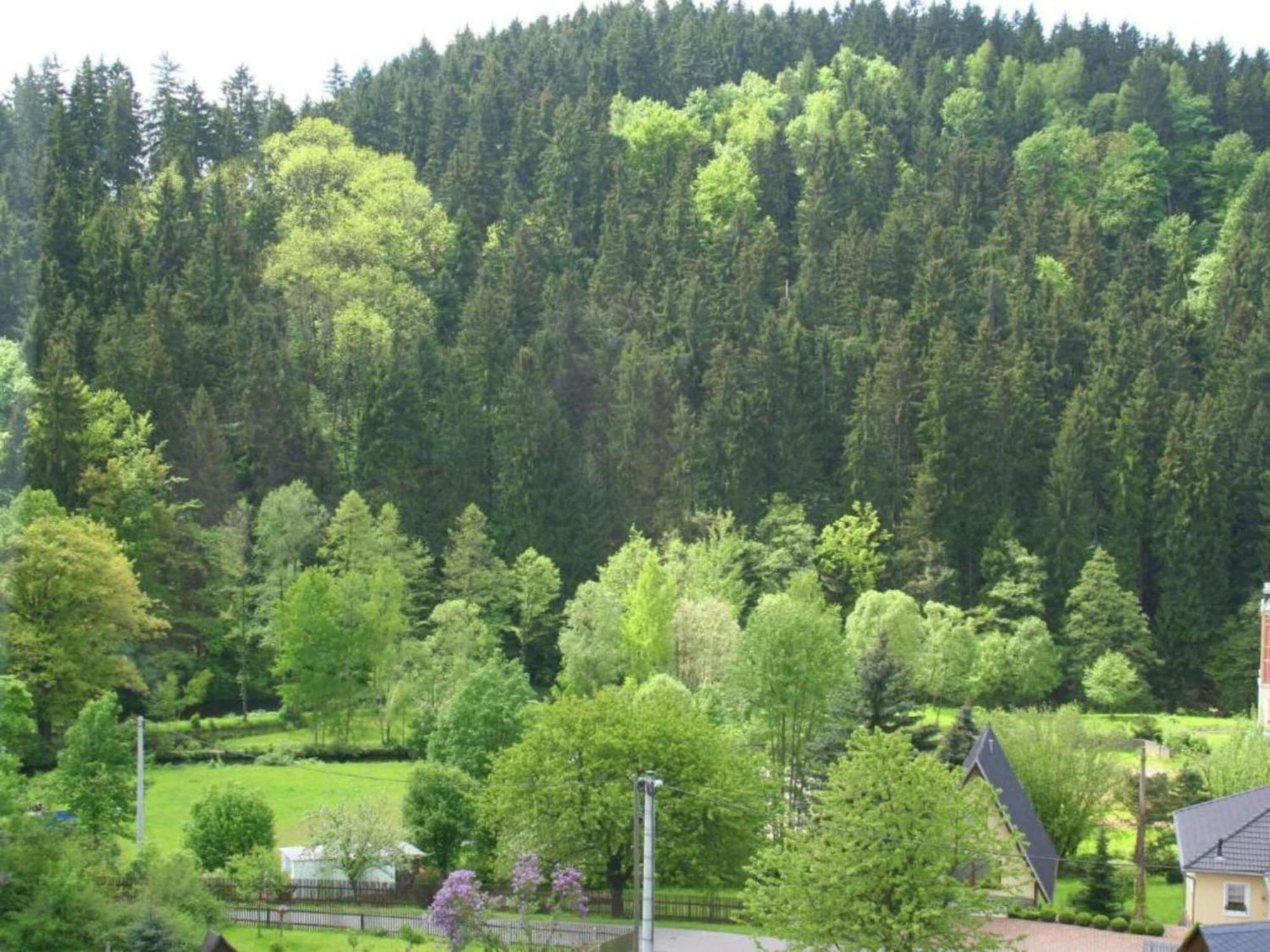 Alluring Villa In Grunhainichen Borstendorf With Garden Leubsdorf Kültér fotó